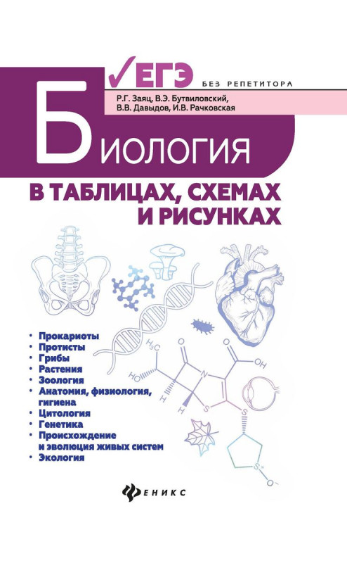 Заяц, Бутвиловский, Рачковская: Биология в таблицах, схемах и рисунках (-34597-9)