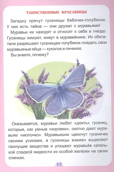 Волкова-Алексеева Н. Е., Попова Галина Петровна: Удивительное о животных. Занимательные рассказы