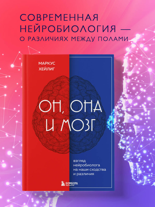 Он, она и мозг. Взгляд нейробиолога на наши сходства и различия