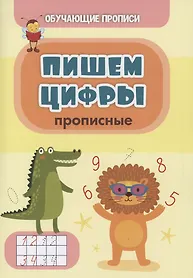 Славина Татьяна Николаевна: Обучающие прописи. Пишем цифры (прописные)