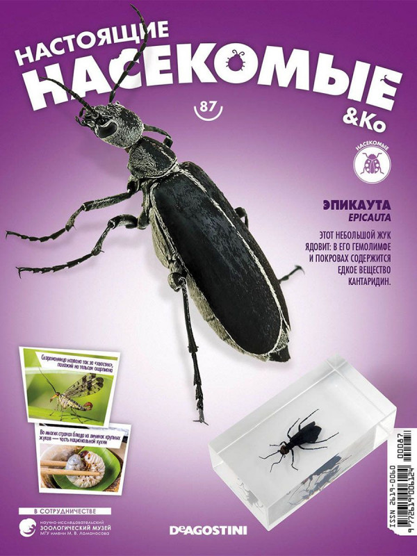 Журнал № 87 "Настоящие насекомые" (Эпикаута)