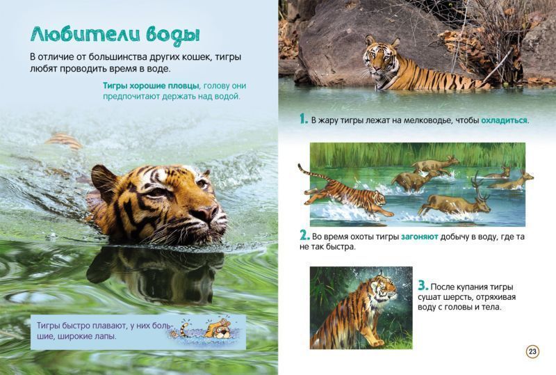 Тигры. Энциклопедия для малышей