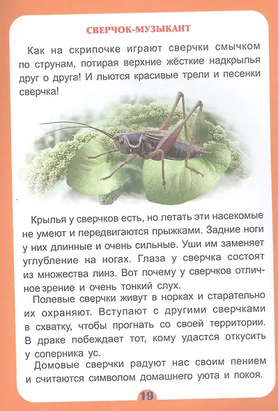 Волкова-Алексеева Н. Е., Попова Галина Петровна: Удивительное о животных. Занимательные рассказы