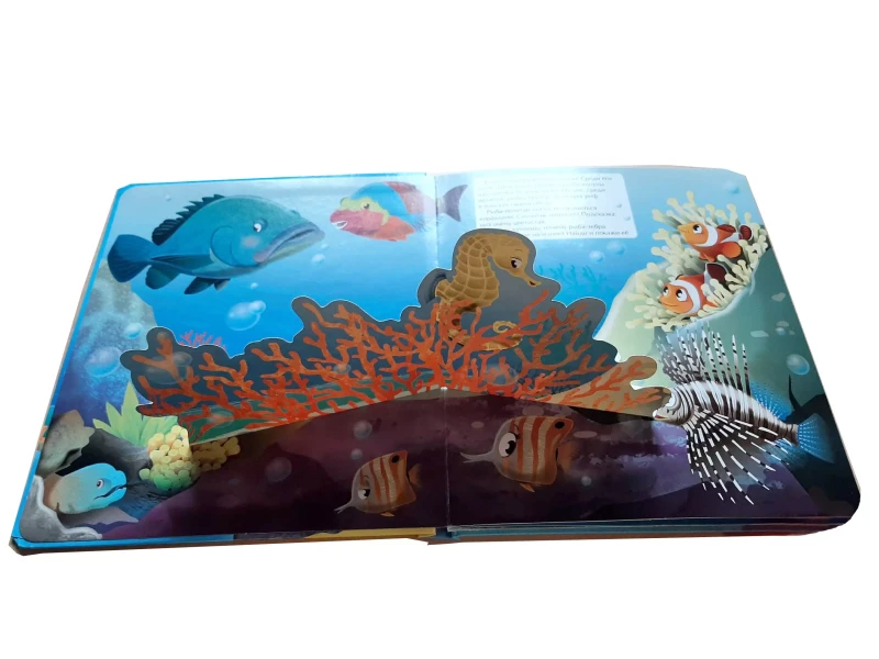 Уценка. В море (6 объёмных элементов)