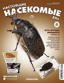 Журнал №76 "Настоящие насекомые" С ВЛОЖЕНИЕМ! Жук-хрущак лепидиота