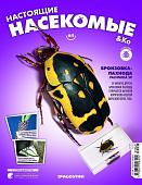 Журнал №64 "Настоящие насекомые" С ВЛОЖЕНИЕМ! Бронзовка-пахнода