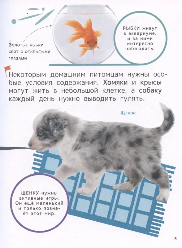 Тяжелкова Кира Егоровна: Домашние любимцы. Энциклопедия для первого чтения с крупными буквами