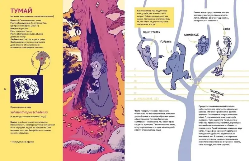 Уценка. Штанг Михаэль, Шедлих Сюзан: Путешествие во времени. Эволюция человека
