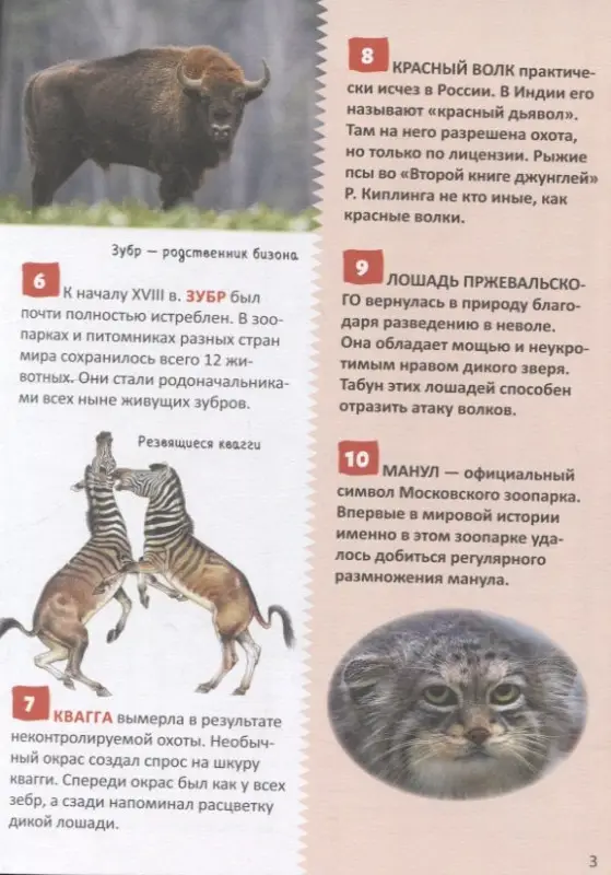 Уценка. Красная книга. 250 фактов. Энциклопедия российского школьника