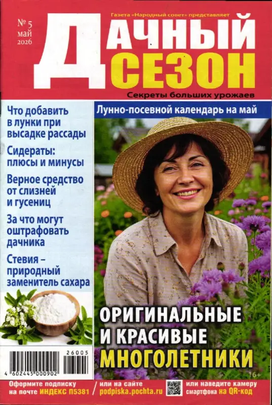 Дачный сезон 05/26