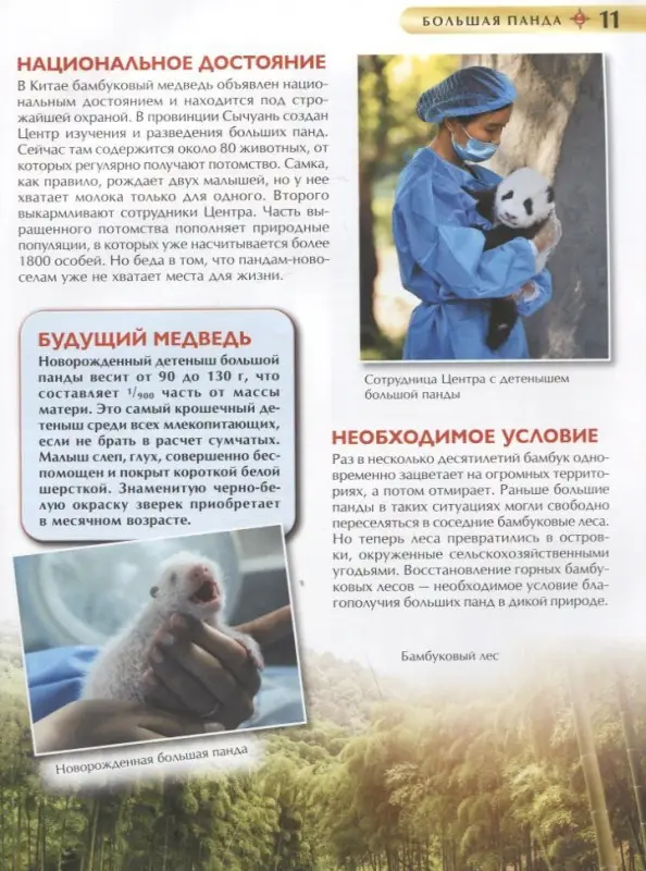 Уценка. Красная книга. Детская энциклопедия