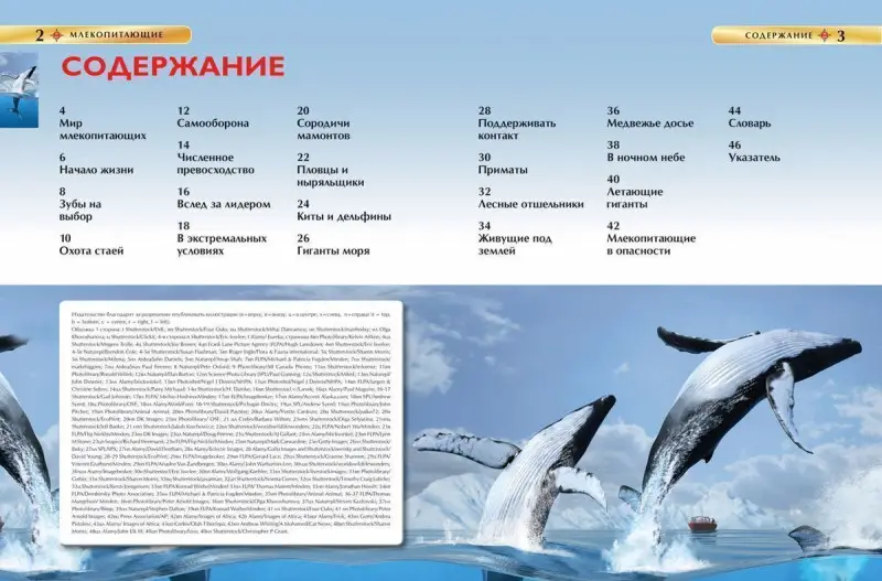 Уценка. Млекопитающие. Детская энциклопедия