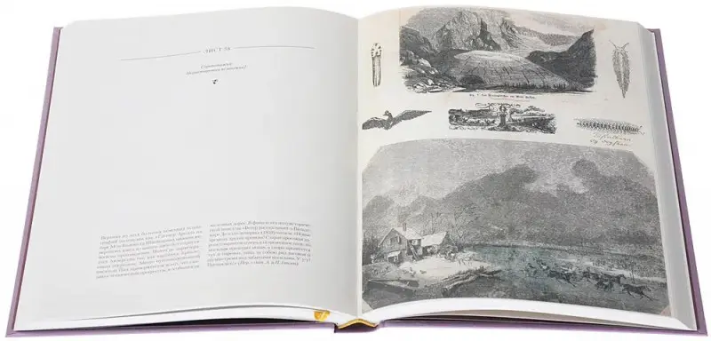 Андерсен, Древсен: Альбом Кристины