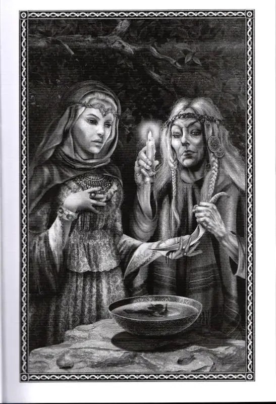 Полет сокола. Волчонок