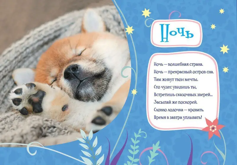 Мой день. Учимся с пушистиками