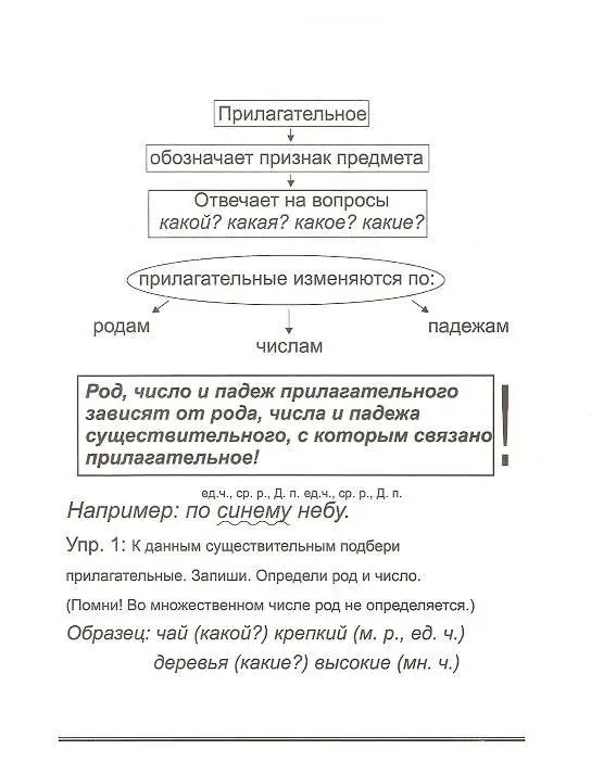 Имя прилагательное: русский язык легко и быстро