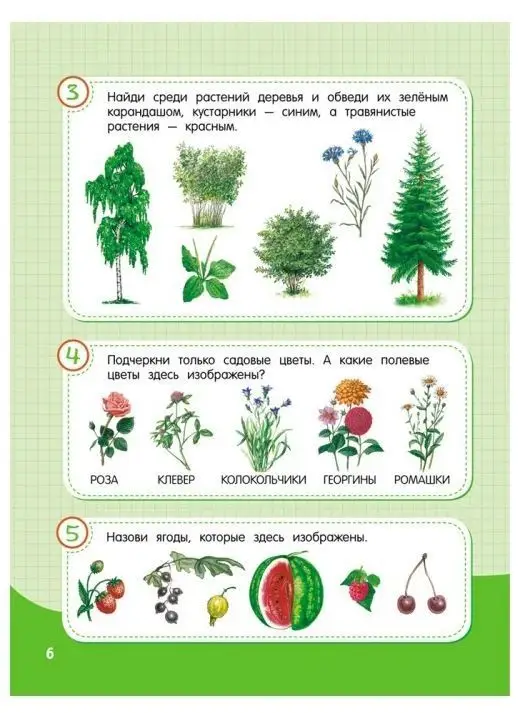 Шпаргалка. Окружающий мир