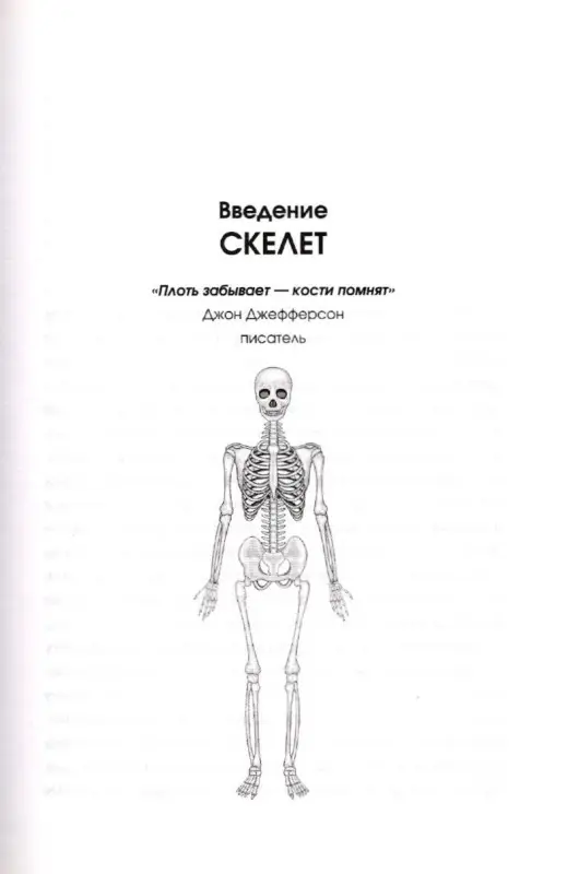Записано на костях. Тайны, оставшиеся после нас