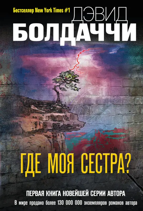 Уценка. Дэвид Болдаччи. Где моя сестра?