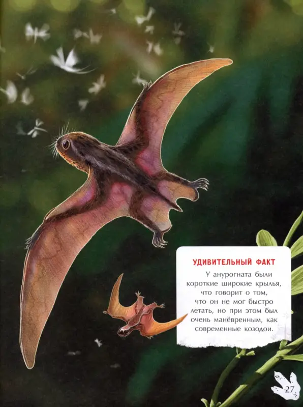 Наталья Бурцева: Летающие хищники