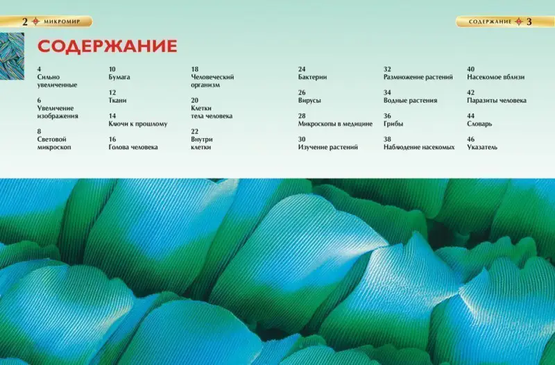 Микромир. Детская энциклопедия