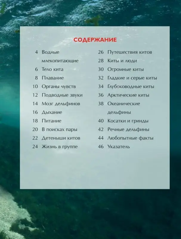 Киты и дельфины. Детская энциклопедия