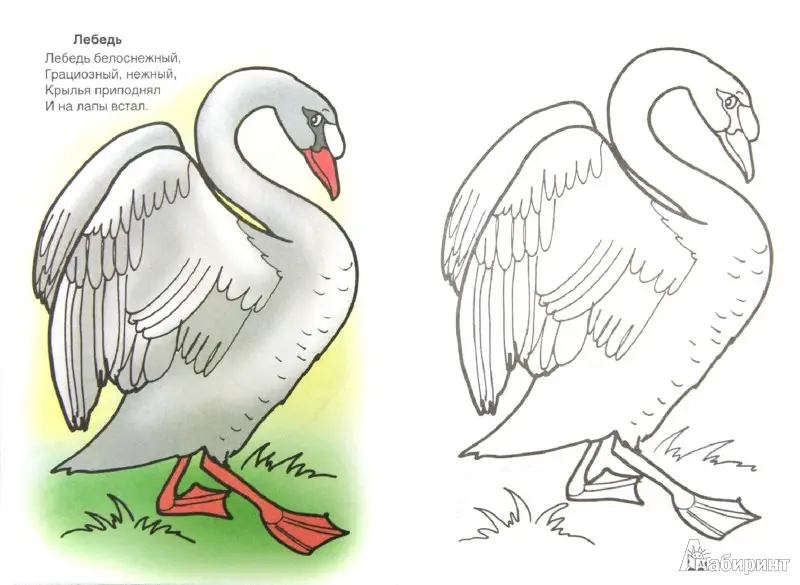 Уценка. Лопатина Александра Александровна: Птичий двор