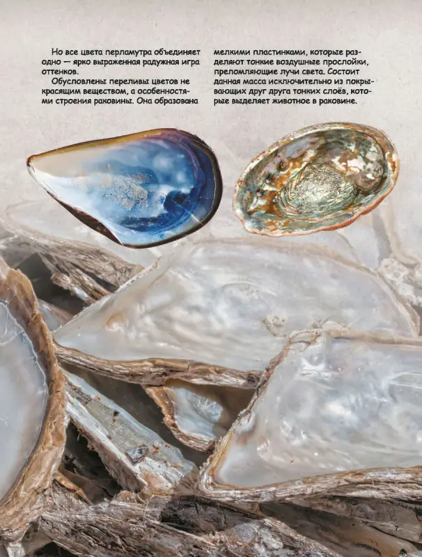 Ирина Морозова: Как растут камни