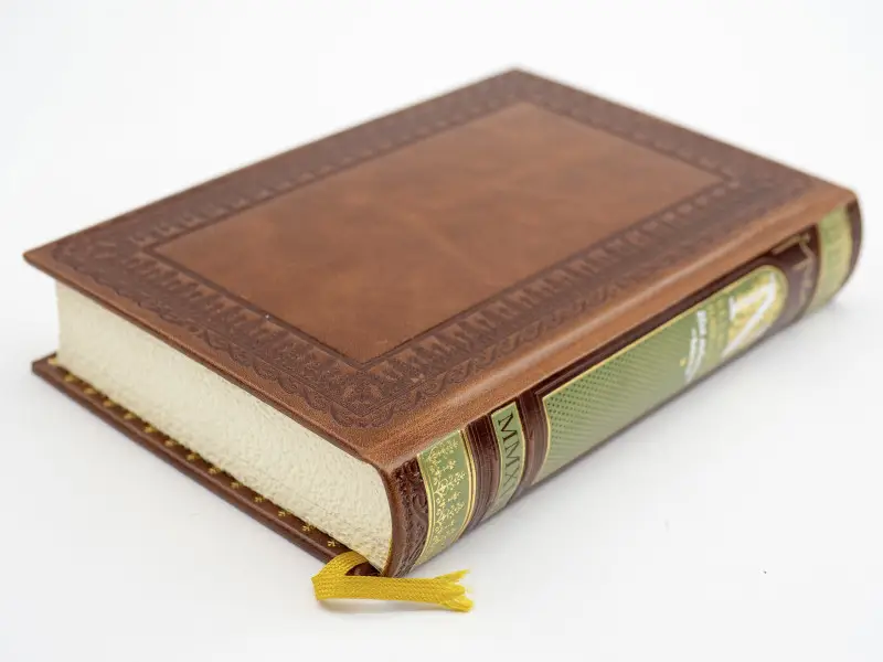 Подарочная книга. Великий Наполеон. Моя любовница - власть! Тененбаум Борис