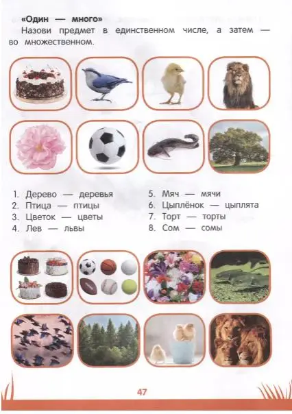 Этери Заболотная: Энциклопедия дошкольника. 4-5 лет