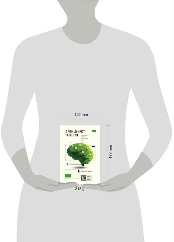 Стефано Манкузо, Виола Алессандра. О чем думают растения