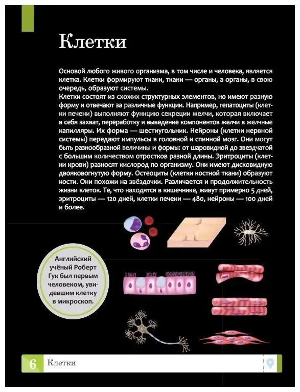 Елена Ульева: Тело человека: энциклопедия (2-38035-2)