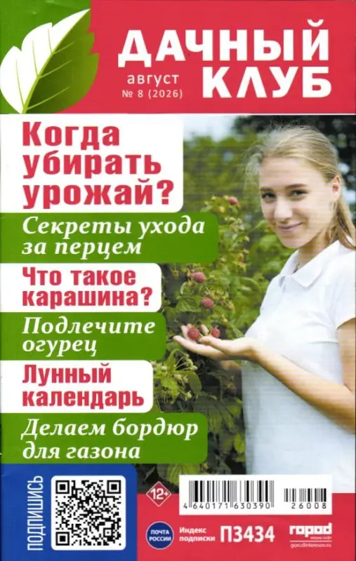 Дачный клуб 08/26