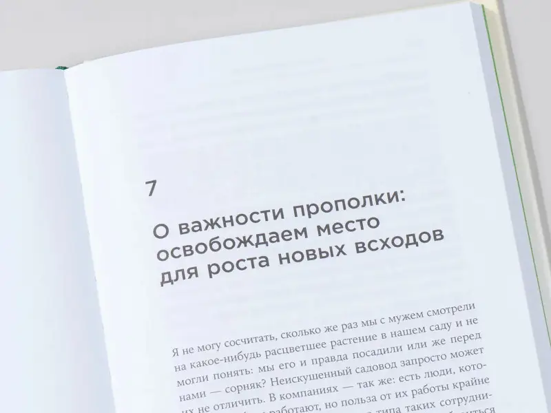 Мэтьюсон Роберта Чински: Управление талантами: Руководство по выращиванию сильной команды