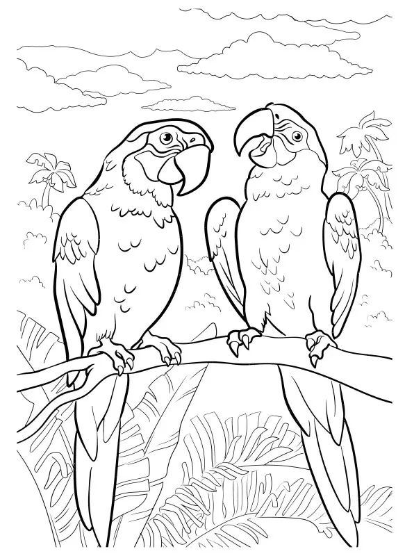 Уценка. Мегараскраска. Животные