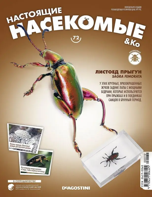Журнал № 72 "Настоящие насекомые" (Листоед-прыгун )