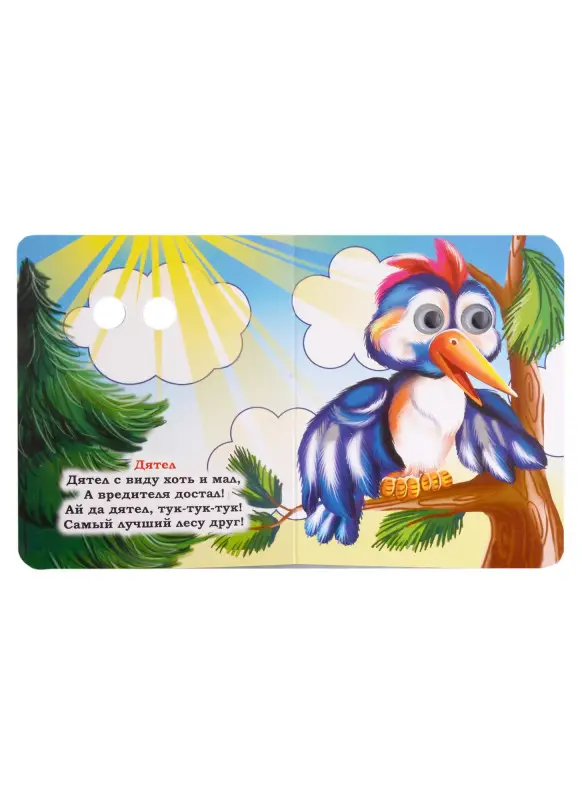 Панасюк Инна Сергеевна: Веселые глазки. Удивительные птицы