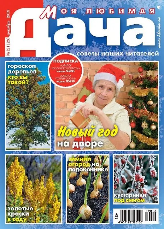 Журнал МОЯ ЛЮБИМАЯ ДАЧА №12/2019
