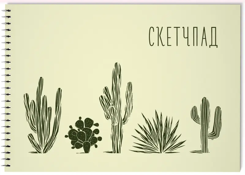Кактусы. Скетчпад (230х180мм, офсет 160 гр., 40 страниц, евроспираль)