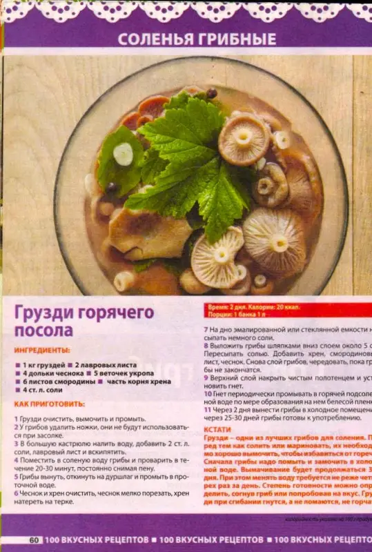 ДП СВ 02/25 Домашние соленья