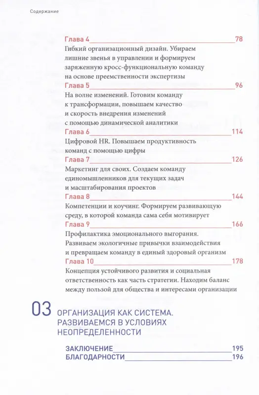 Уценка. Набок Оксана: Команда рулит : Управление изменениями в цифровой среде