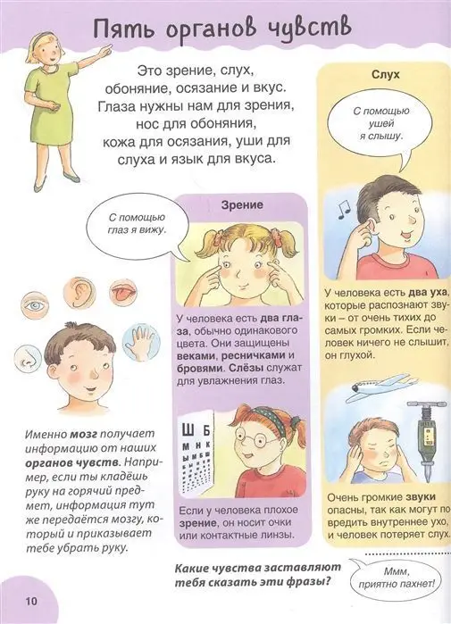 Первая энциклопедия малыша