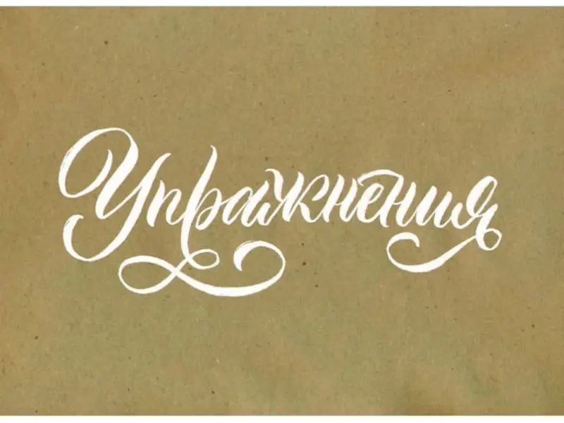 Уценка. Анна Суворова: Каллиграфия кистью. Прописи. Латиница