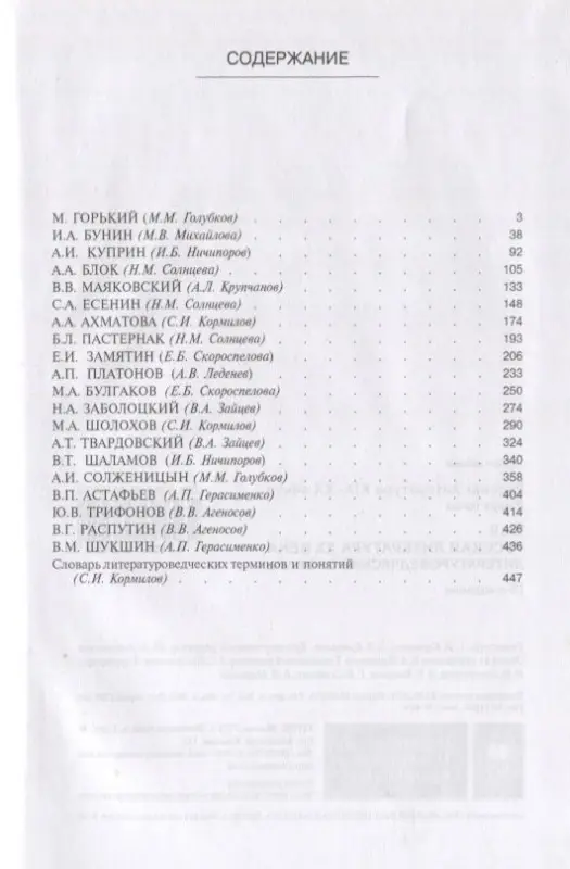 Уценка. Русская литература XIX-XX веков: В 2 т. Т.2