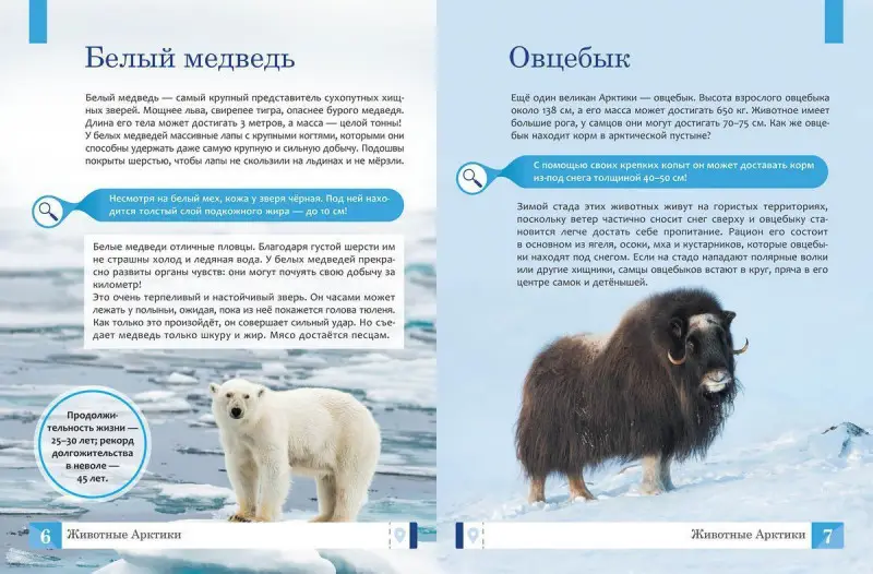 Уценка. Животные: энциклопедия