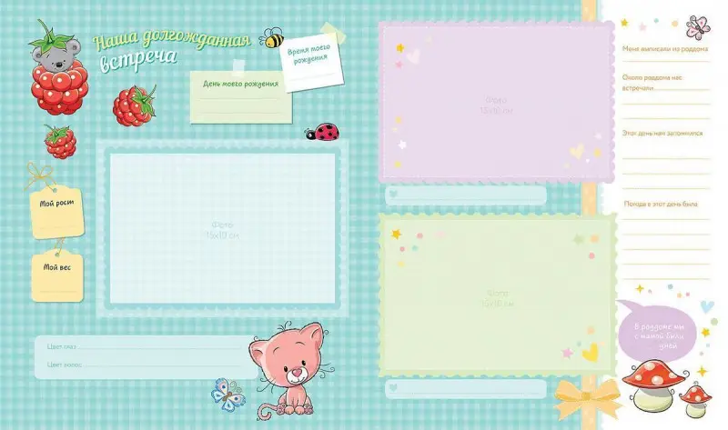 Привет, я родился! Альбом от рождения до года