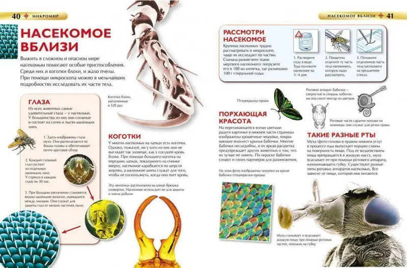 Уценка. Микромир. Детская энциклопедия