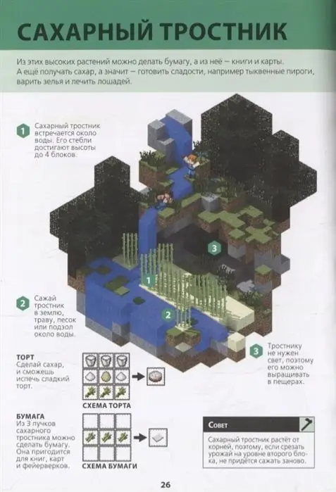 Minecraft. Сельское хозяйство