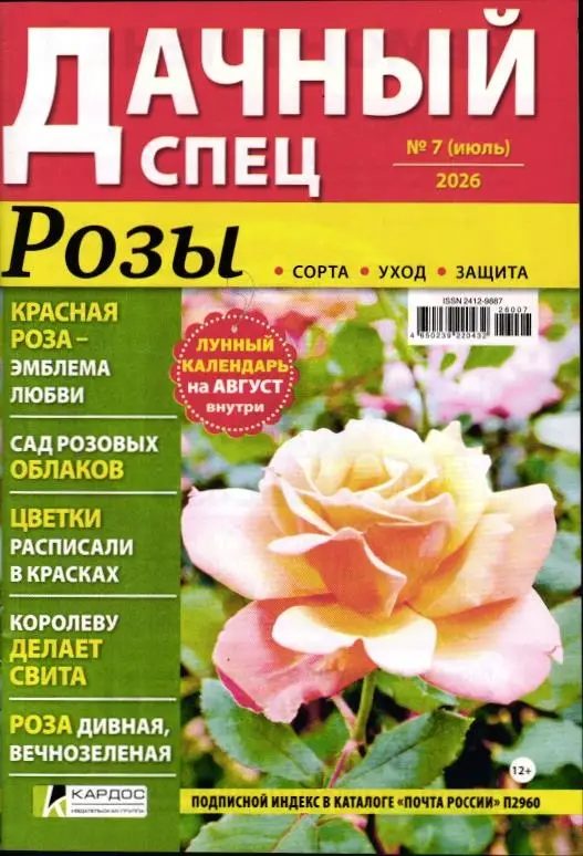 Дачный спец 07/26
