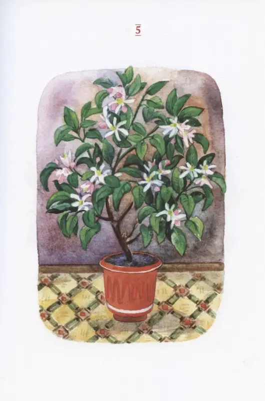 Уценка. Инкона Елена: Про Любовь. Рассказ в стихах для детей